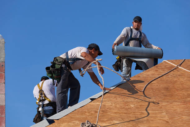 Best Roof Waterproofing Services  in Montpelier, IN